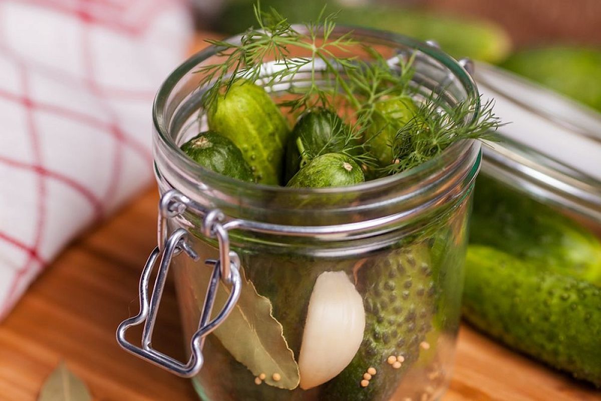 Свежепросольные огурцы в пакете за 10 минут: рецепт с тем самым хрустом