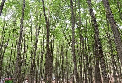 Новые подходы в контрольно-надзорной деятельности внедряют в Краснодарском крае 