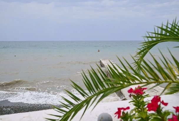 Качество морской воды у берегов Сочи подтверждено лабораторно