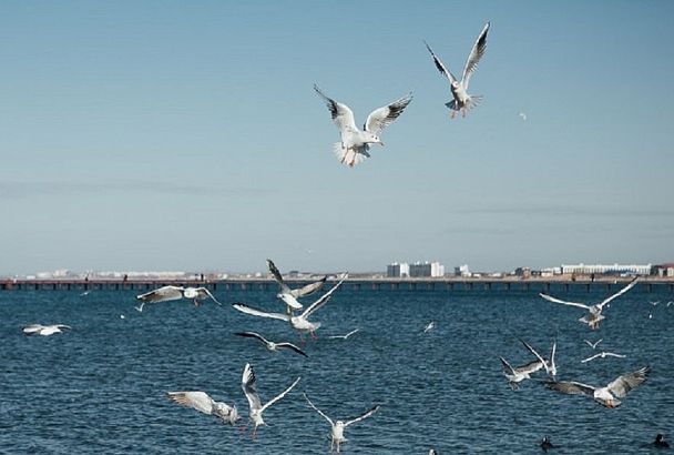 Вода в Черном и Азовском морях не успела прогреться после ливней