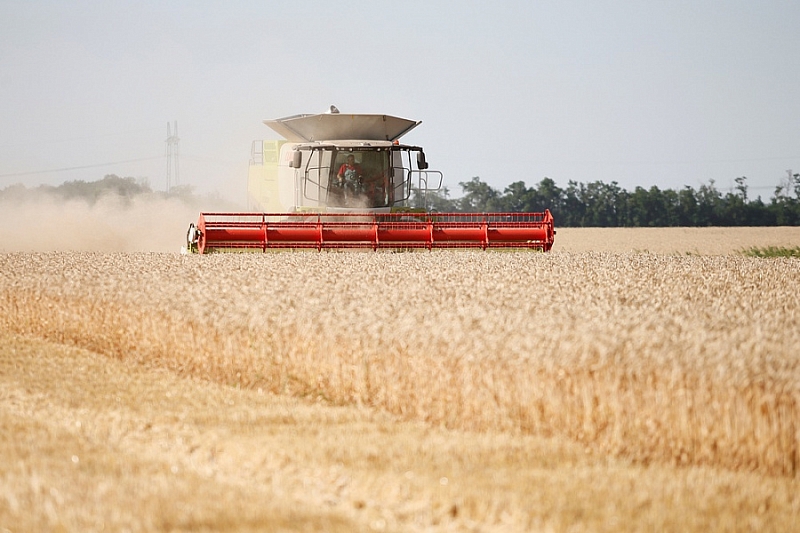 В Краснодарском крае с начала года произвели сельхозпродукции на 304,4 млрд рублей