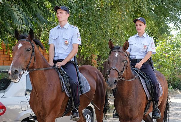 13 всадников добра: чем занимается в Краснодаре конный патруль