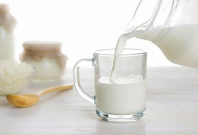 Животноводы идут на рекорд: в Краснодарском крае увеличивается производство молока