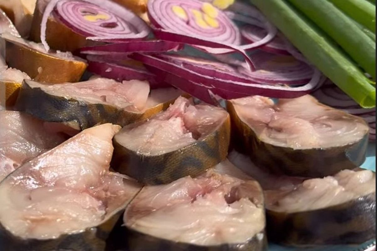 Какая же вкусная скумбрия своими руками: тот самый вкус копчёной рыбы без коптильни и жидкого дыма