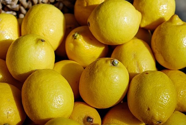 Первый в России: на Кубани построят завод по производству лимонной кислоты за 60 млрд