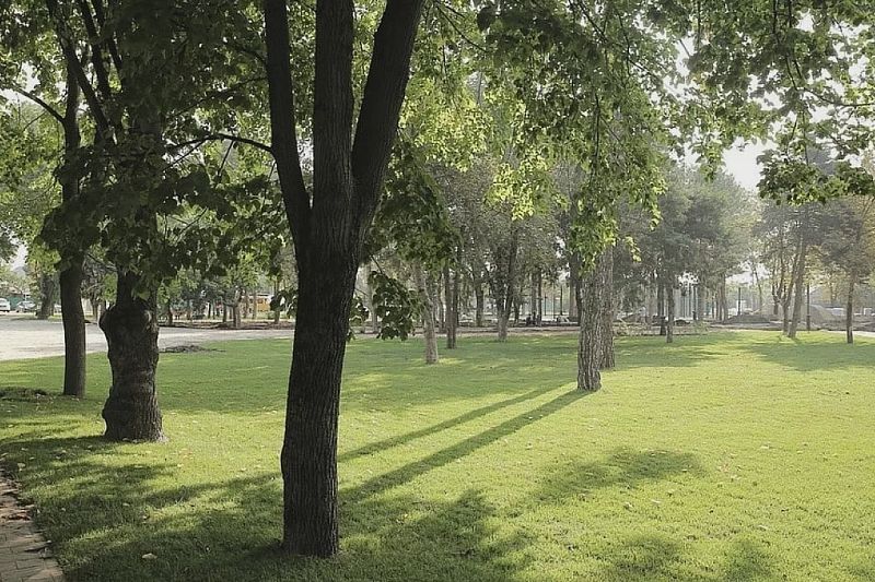 Почти 55 тыс. краснодарцев выбрали зеленые зоны города для благоустройства