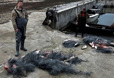 Пиленгас, камбала, русский осетр. Браконьеры с крупным уловом рыбы задержаны на Кубани
