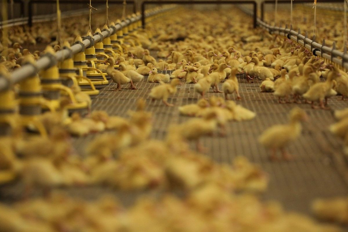 Малый бизнес Брюховецкого района выходит на зарубежные рынки