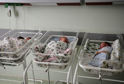 Вторая тройня родилась на Кубани в 2022 году благодаря ЭКО 