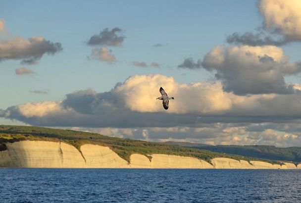 Угрозу атаки БПЛА отменили в Геленджике и Туапсинском округе