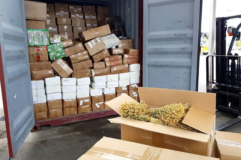 Более тонны наркосодержащей травы нашли в прибывшем в Новороссийск из Узбекистана контейнере