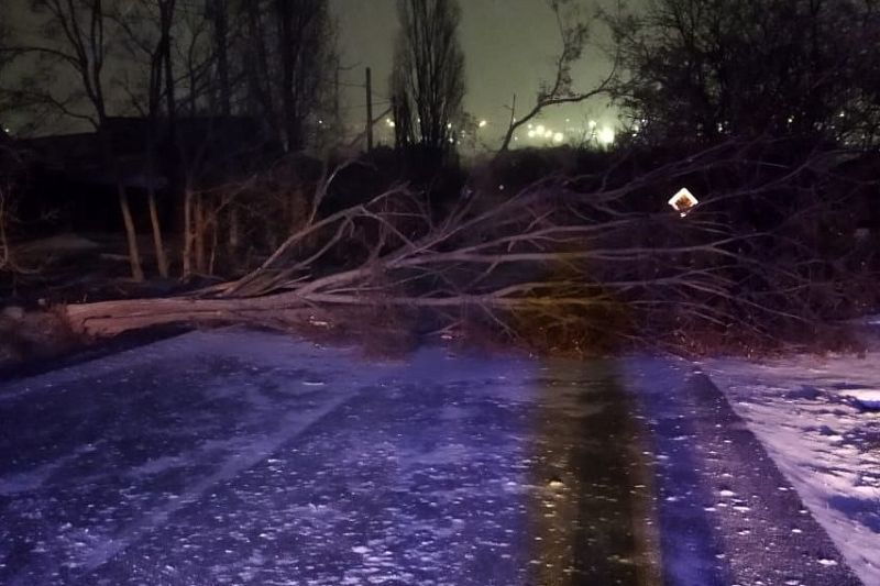 Рухнувшие деревья, улетевшие крыши, оборванные провода: стихия обрушилась на Краснодарский край