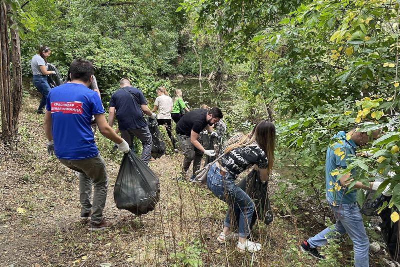 Около 1,8 тыс. кубометров мусора вывезли во время общегородского субботника в Краснодаре