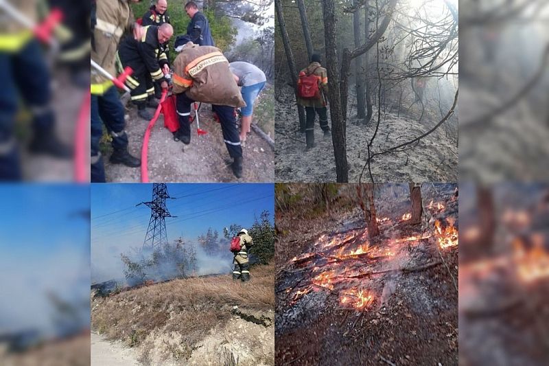 Площадь природного пожара в Новороссийске увеличилась до 16 га