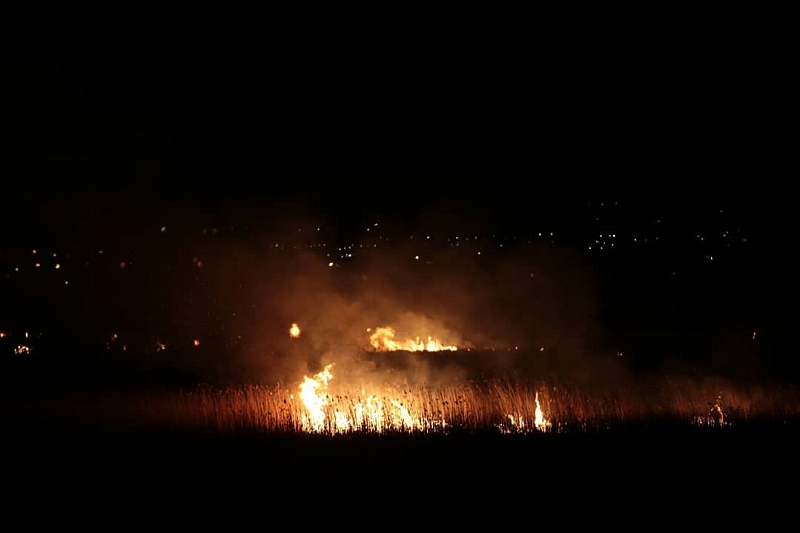 Поджог: установлен виновник крупного природного пожара в плавнях Анапы