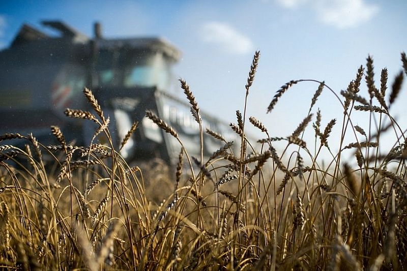 Краснодарский край вошел в число топ-5 регионов России по развитию агрострахования