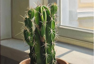 Годами поливала кактус, а он никак не цвел, пока я не узнала главные секреты, как заставить его радовать меня