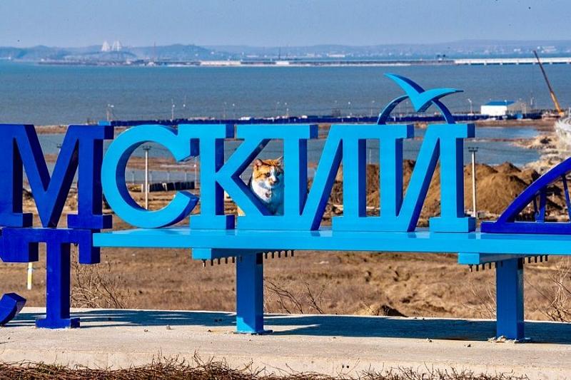 Кот со стройки Крымского моста «объявил» конкурс на памятник самому себе 