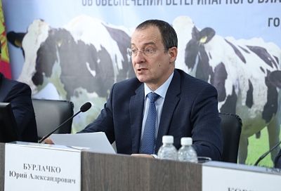 Юрий Бурлачко: «Кубань входит в число самых развитых регионов страны по животноводству»