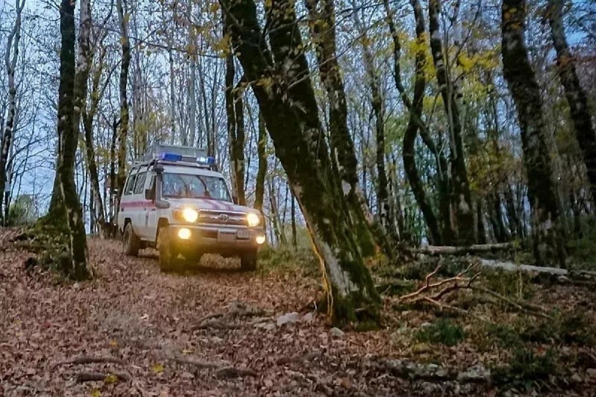 Спасатели транспортировали женщину с переломом ноги из леса в Сочи. 23  апреля 2024 г. Кубанские новости