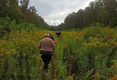 Спасатели нашли заблудившихся в лесу под Белореченском женщин