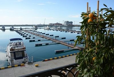 Краснодарский край в топ-3 популярных направлений для путешествий в честь 8 Марта