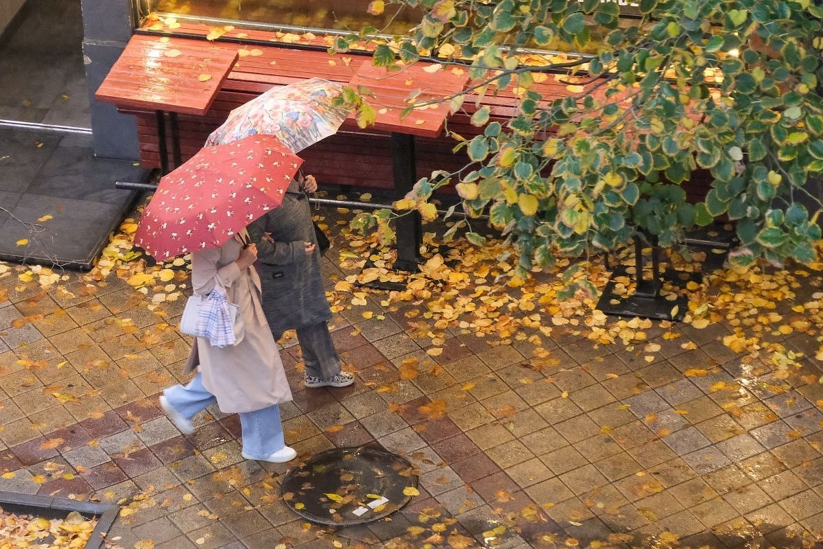 Гребень антициклона наладит погоду в Краснодарском крае