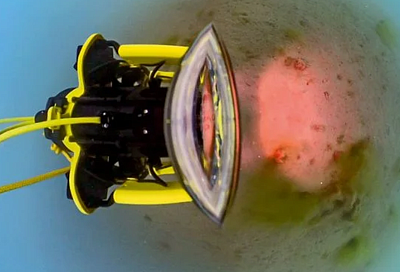 Ученые оценили состояние макрофитов в районе Керченского пролива и Анапской пересыпи