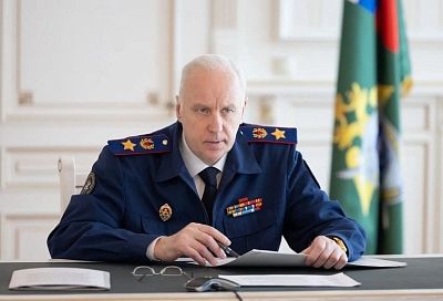 Бастрыкин поручил возбудить дело о бездействии властей при отлове собак в Туапсе