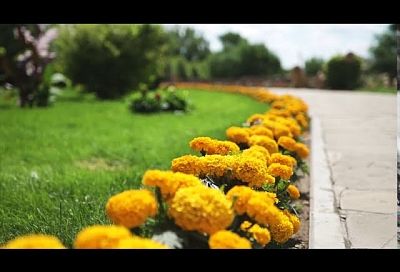 Путешествуем по России: три веские причины, почему вам обязательно надо приехать в город Каменск-Шахтинский