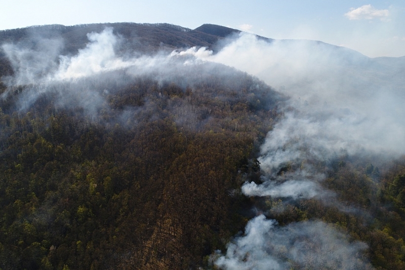 Площадь лесного пожара в Краснодарском крае увеличилась до 60 га