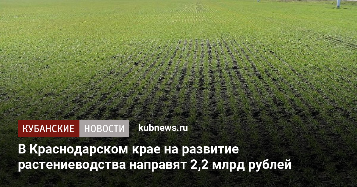 Растениеводство красноярского края презентация