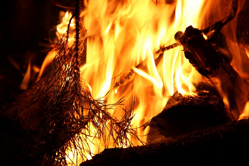 В Сочинском нацпарке во время особого противопожарного режима туристы разожгли костер и устроили пикник