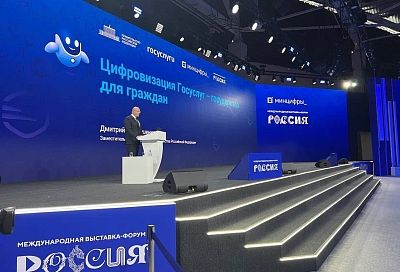 В России в 2023 году было оказано более 340 млн электронных госуслуг 