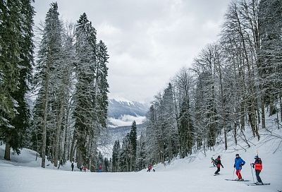 В горах Красной Поляны в три раза расширят трассу для катания к зиме 
