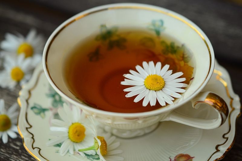 Пять доказанных медициной целительных свойств чая из ромашки