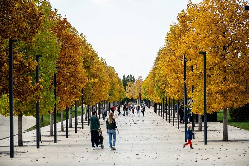 Сказочные места: три парка Кубани, где можно увидеть осень во всей красе