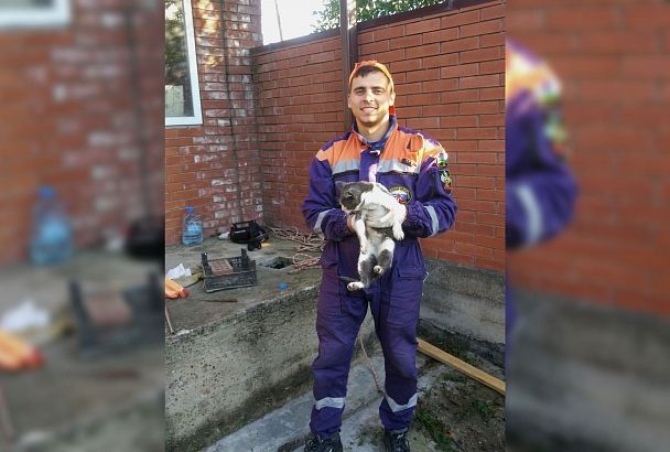 В Краснодарском крае спасатели достали упавшего в 8-метровый колодец кота
