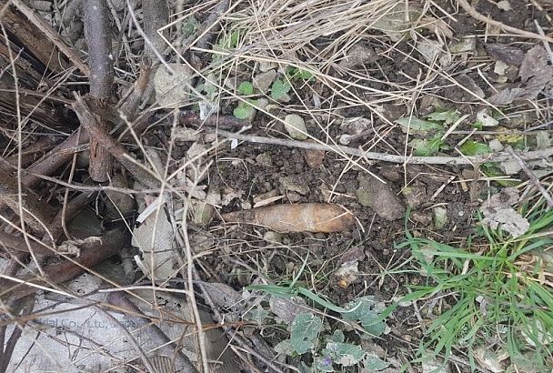 «Сюрприз» на погосте: в Геленджике на кладбище нашли снаряд времен Великой Отечественной
