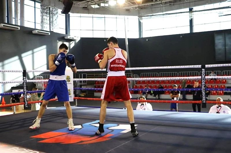Всероссийские соревнования по боксу памяти Артема Лаврова стартовали в Краснодаре 