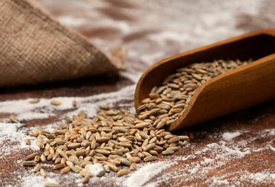 Перевалка зерна в Новороссийском терминале в 2025 году сократилась на четверть