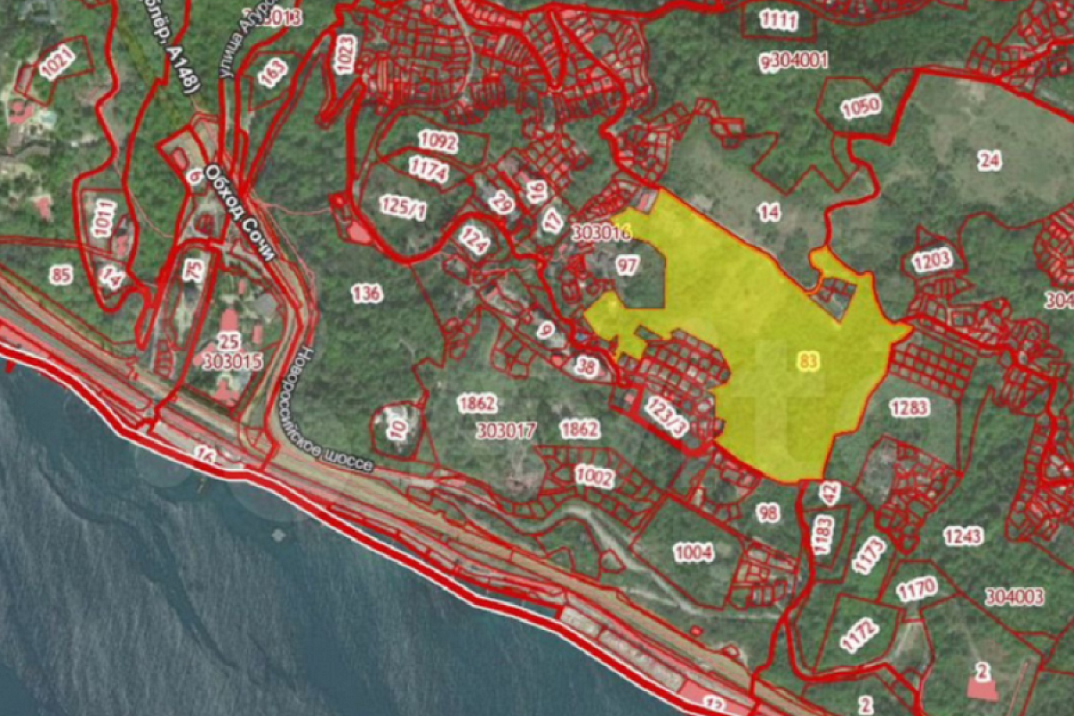 Осторожно, фейк: в мэрии Сочи прокомментировали информацию о продаже участка за 10 млрд рублей