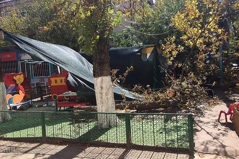 Дело гибели ребенка под упавшим деревом в детском саду Краснодара направлено в суд