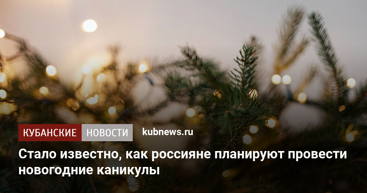 Стало известно, как россияне планируют провести новогодние каникулы