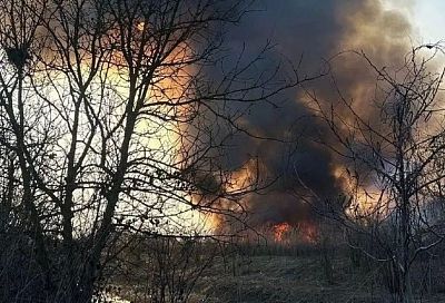Лесной пожар на площади почти 6 га потушили в Краснодарском крае