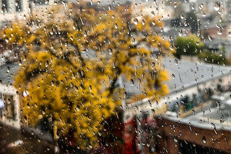 Мощные дожди и шквалистый ветер: разгул стихии в Краснодарском крае будет затяжным 