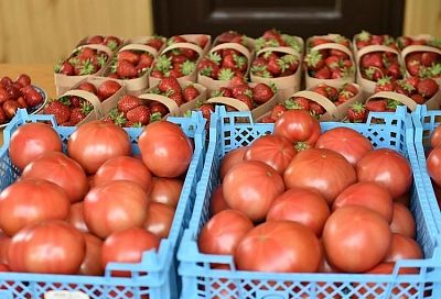 На Кубани организуют еще 600 нестационарных объектов для сбыта фермерских продуктов