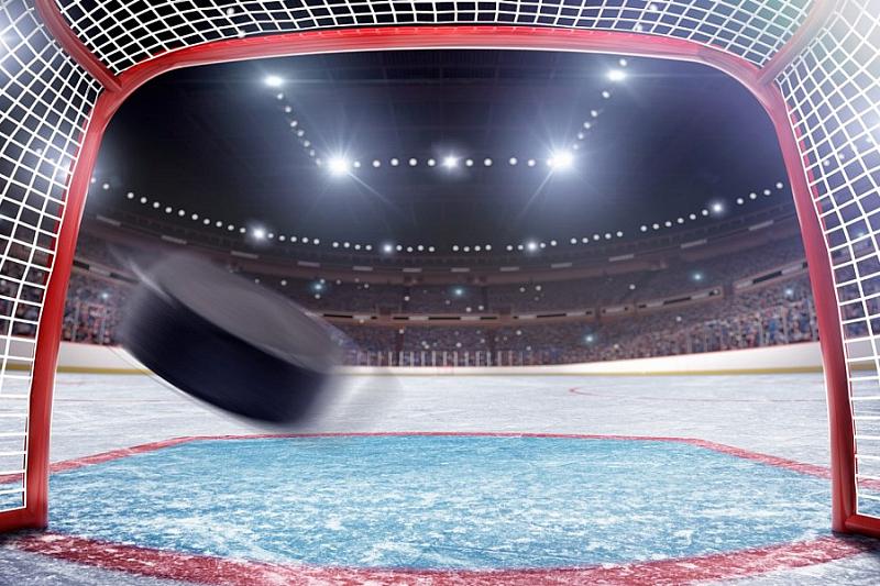 Звезды отечественного хоккея проведут благотворительный матч в Сочи