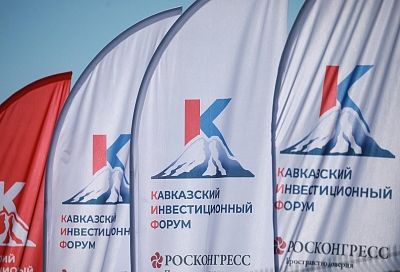 Более 8,6 миллиарда рублей вложили в развитие промышленности Кубани