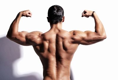 Берите пример с Железного Арни: как легко нарастить мышцы
